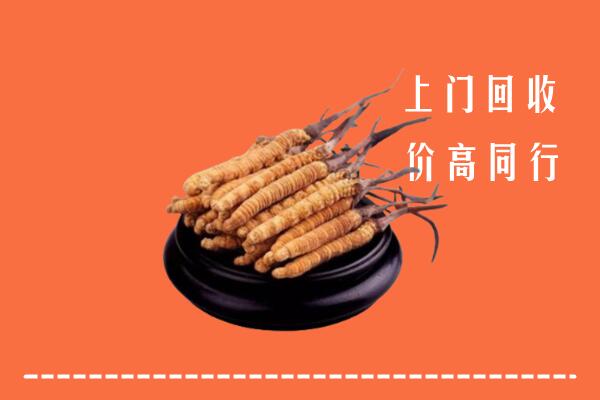 高价求购：延安回收散虫草
